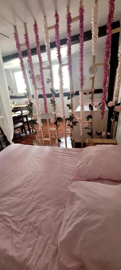 Appart Hypercentre Gare 'La Normande' Topskyhome Rouen Ngoại thất bức ảnh